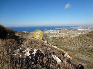 Αγροτεμάχια 8.029 τ.μ. για πώληση