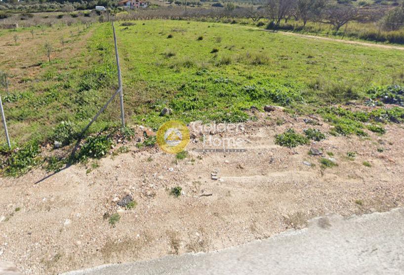 Αγροτεμάχια 9.000 τ.μ. προς πώληση, Αγία Τριάδα Μαρκοπούλου