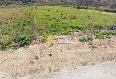 Αγροτεμάχια 9.000τ.μ. για πώληση-Μαρκόπουλο » Αγία τριάδα