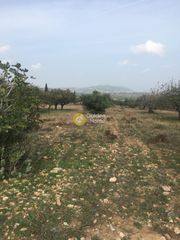 Οικόπεδο 1.116 τ.μ. πρός πώληση, Αττική - Υπόλοιπο, Κερατέα-thumb-2