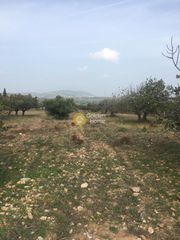 Οικόπεδο 1.116 τ.μ. για πώληση