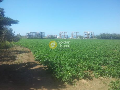 Οικόπεδο 6.000 τ.μ. πρός πώληση