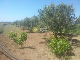 Οικόπεδο 6.000 τ.μ. προς πώληση, Καστράκι Νάξου-thumb-1