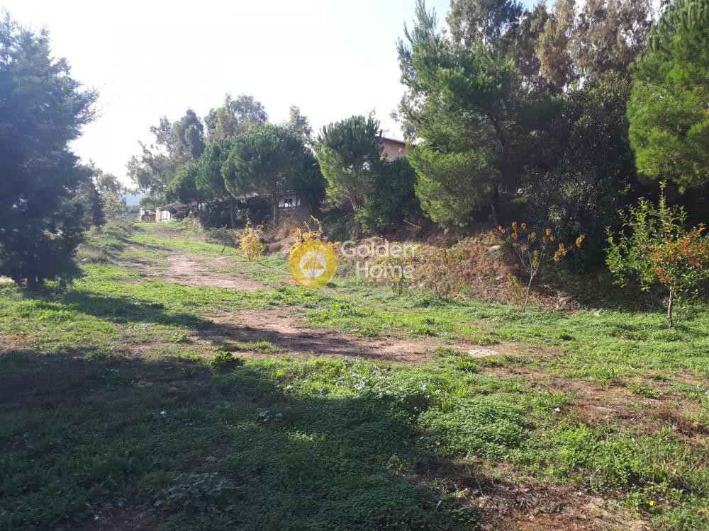 Οικόπεδο 92.830 τ.μ. προς πώληση, Ν. Ηρακλείου, Αρκαλοχώρι