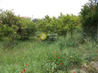 Οικόπεδο 475 τ.μ. για πώληση, Αχαΐα, Ακράτα-thumb-5