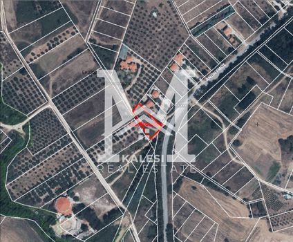 Parcel 1.040sqm for sale-Stagiron - Akanthou » Ammouliani