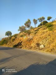Οικόπεδο 5.000 τ.μ. προς πώληση, Πετριές-thumb-4