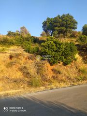 Οικόπεδο 5.000 τ.μ. προς πώληση, Πετριές-thumb-5
