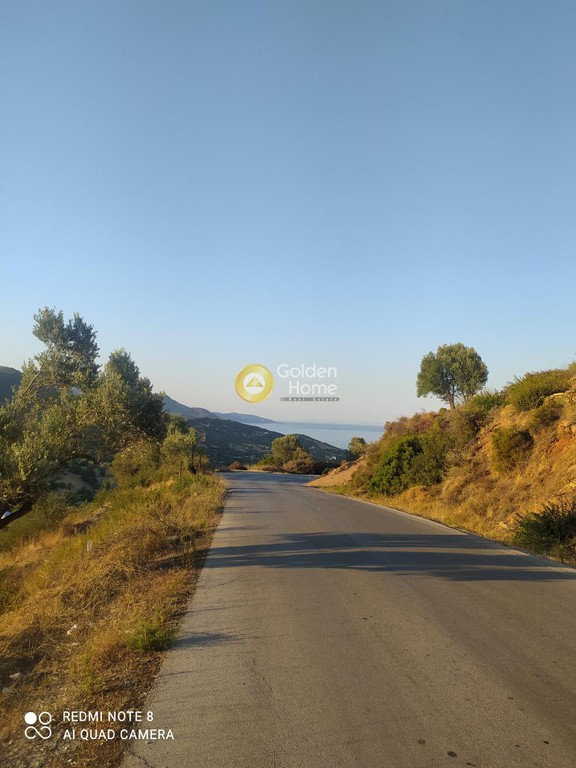 Οικόπεδο 5.000 τ.μ. προς πώληση, Πετριές