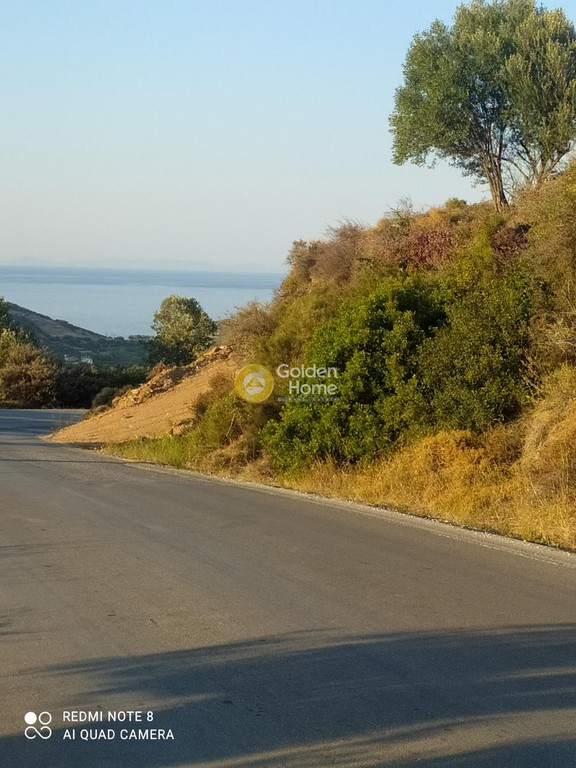 Οικόπεδο 5.000 τ.μ. προς πώληση, Πετριές