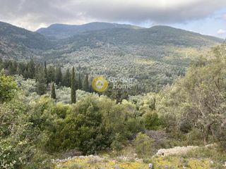 Αγροτεμάχια 8.826 τ.μ. για πώληση