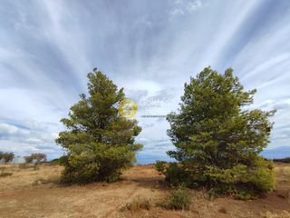Οικόπεδο 5.040 τ.μ. προς πώληση, Καριώτικα Ξυλοκάστρου-thumb-3