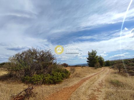 Οικόπεδο 5.040τ.μ. για πώληση-Ξυλόκαστρο » Καριώτικα