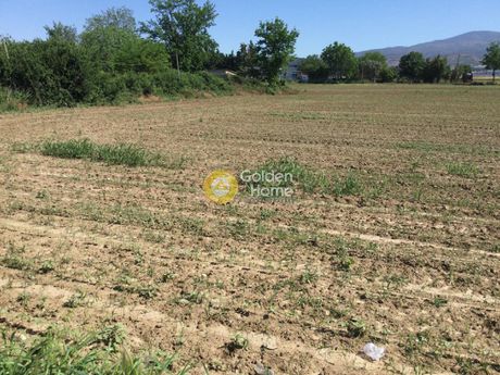 Αγροτεμάχια 6.400τ.μ. για πώληση-Θέρμη » Κέντρο θέρμης