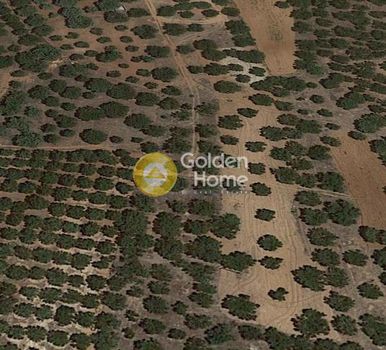 Αγροτεμάχια 800τ.μ. για πώληση-Χερσόνησος » Άγιος ιωάννης