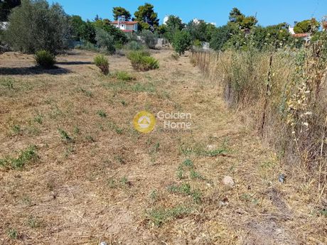 Οικόπεδο 1.000τ.μ. για πώληση-Αρτέμιδα (λούτσα) » Γαλήνη