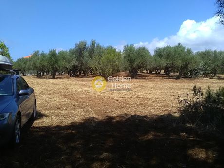Αγροτεμάχια 13.000τ.μ. για πώληση-Γαργαλιάνοι » Μαραθόπολη