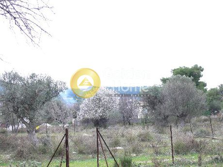 Οικόπεδο 510τ.μ. για πώληση-Γλυκά νερά » Κέντρο