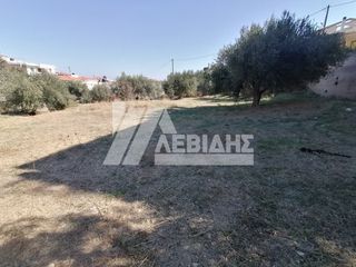 Οικόπεδο 1.613 τ.μ. πρός πώληση, Ν. Χίου, Χίος-thumb-4