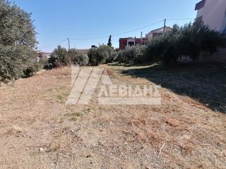 Οικόπεδο 1.613 τ.μ. πρός πώληση, Ν. Χίου, Χίος-thumb-3