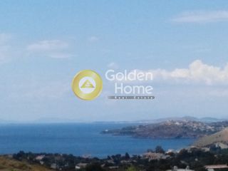 Μονοκατοικία 320 τ.μ. για πώληση