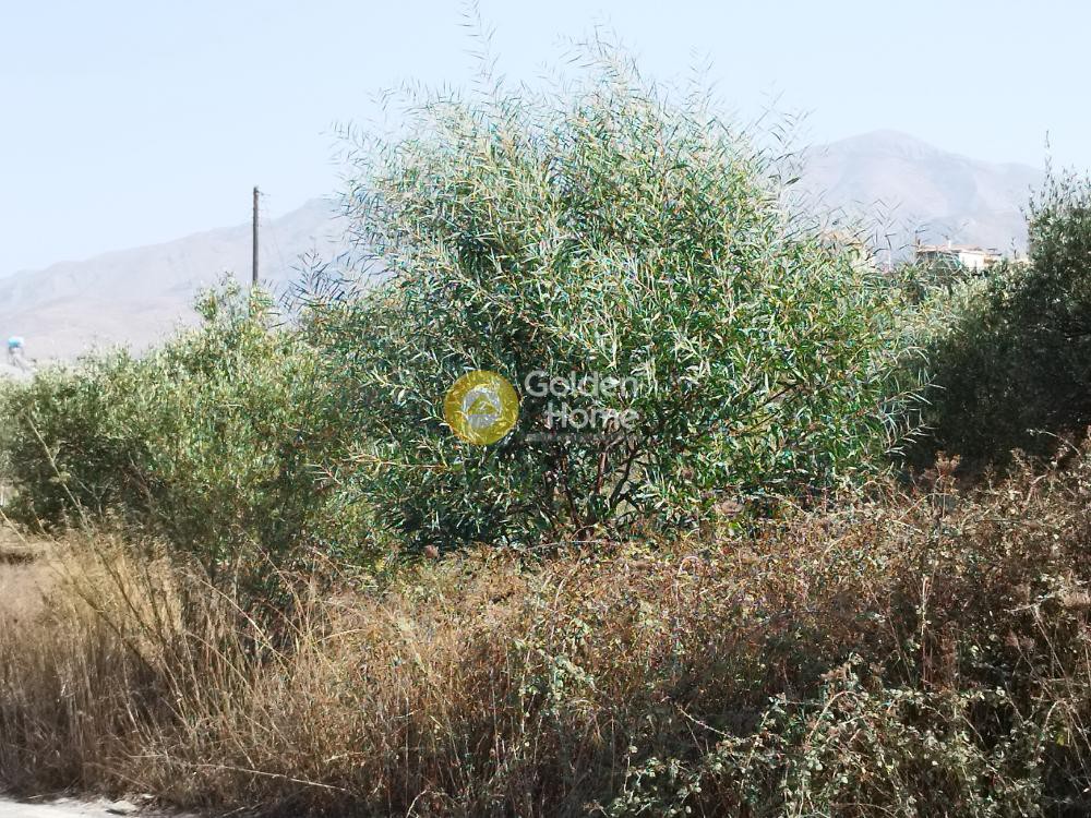 Οικόπεδο 1.112 τ.μ. προς πώληση, Αρχοντικό Αρκαλοχωρίου