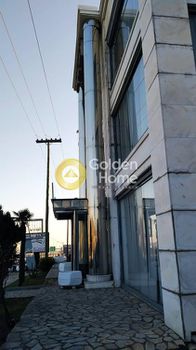 Κτίριο 1.165τ.μ. για πώληση-Ευκαρπία » Κέντρο
