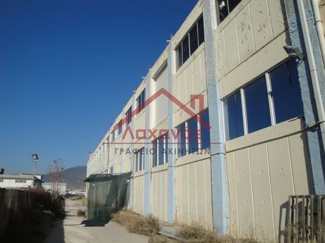 Warehouse 880 sqm for sale