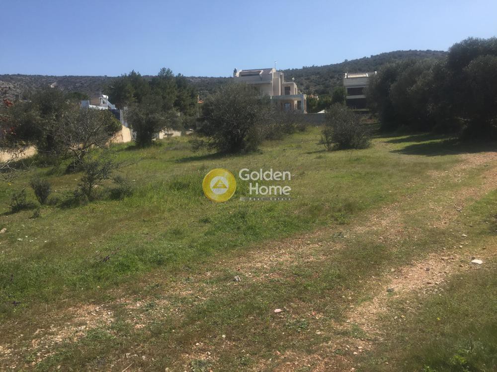 Οικόπεδο 1.510 τ.μ. προς πώληση, Μηλαδέζα