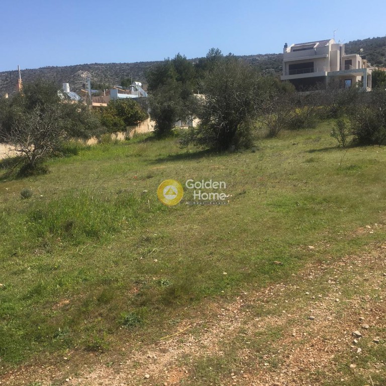 Οικόπεδο 1.510 τ.μ. προς πώληση, Μηλαδέζα
