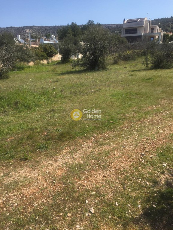 Οικόπεδο 1.510 τ.μ. προς πώληση, Μηλαδέζα