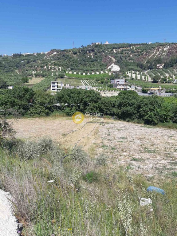 Οικόπεδο 8.000 τ.μ. προς πώληση, Καππαριανά