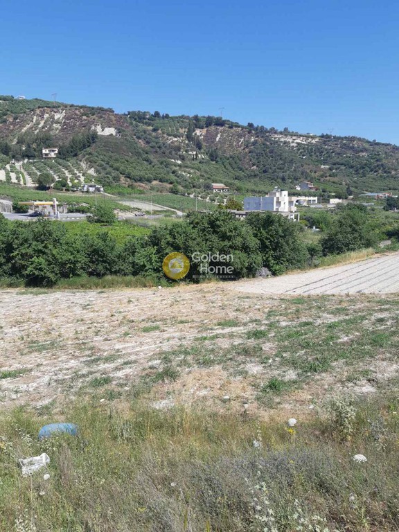 Οικόπεδο 8.000 τ.μ. προς πώληση, Καππαριανά