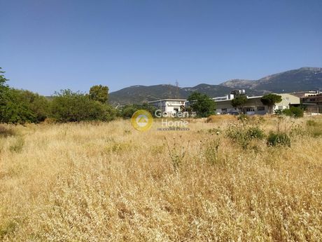 Land plot 784 sqm for sale