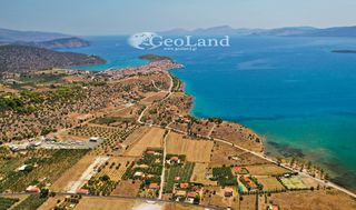 Αγροτεμάχια 25.704 τ.μ. για πώληση, Αργολίδα, Ερμιόνη-thumb-5
