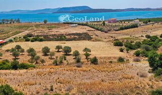 Αγροτεμάχια 25.704 τ.μ. για πώληση, Αργολίδα, Ερμιόνη-thumb-6