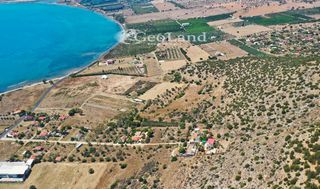 Αγροτεμάχια 25.704 τ.μ. για πώληση, Αργολίδα, Ερμιόνη-thumb-18