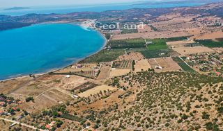 Αγροτεμάχια 25.704 τ.μ. για πώληση, Αργολίδα, Ερμιόνη-thumb-15