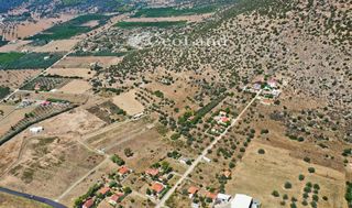 Αγροτεμάχια 25.704 τ.μ. για πώληση, Αργολίδα, Ερμιόνη-thumb-21
