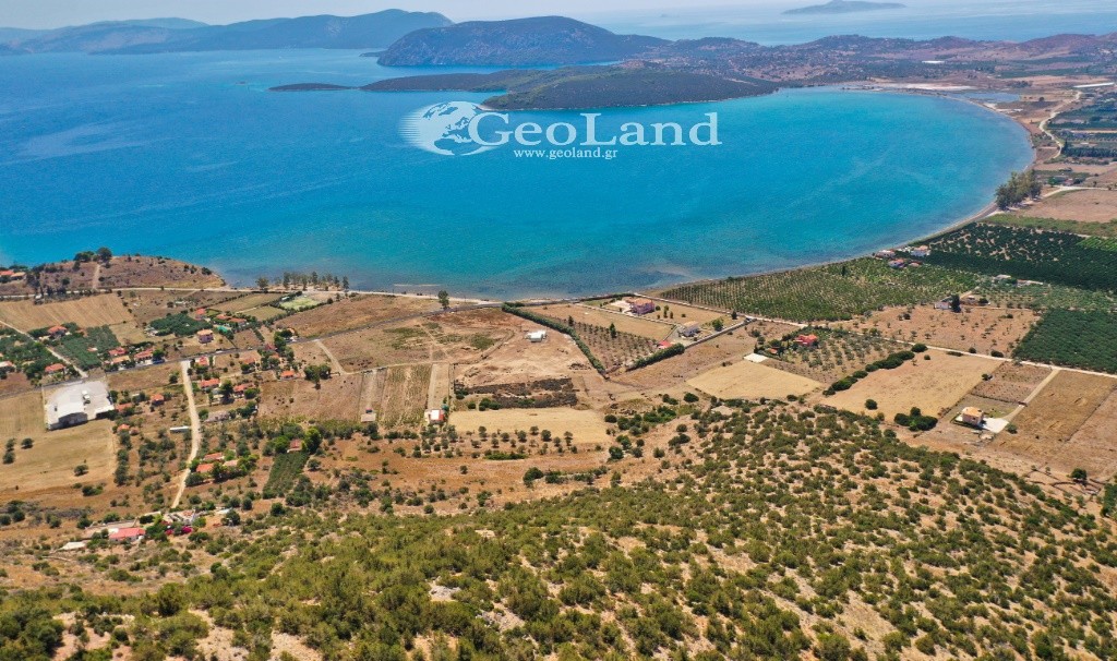 Αγροτεμάχια 25.704 τ.μ. προς πώληση, Κέντρο Ερμιόνης