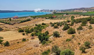 Αγροτεμάχια 25.704 τ.μ. για πώληση, Αργολίδα, Ερμιόνη-thumb-11