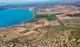 Αγροτεμάχια 25.704 τ.μ. για πώληση, Αργολίδα, Ερμιόνη-thumb-14