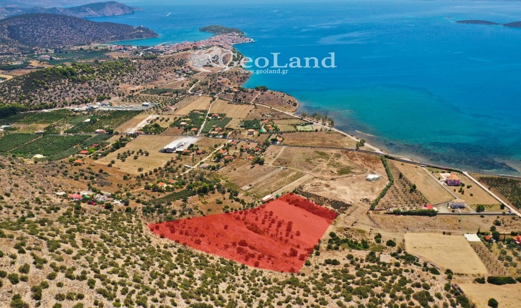 Αγροτεμάχια 25.704 τ.μ. προς πώληση, Κέντρο Ερμιόνης