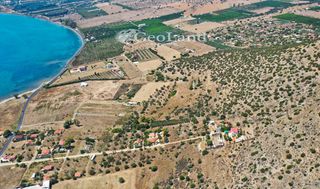 Αγροτεμάχια 25.704 τ.μ. για πώληση, Αργολίδα, Ερμιόνη-thumb-10