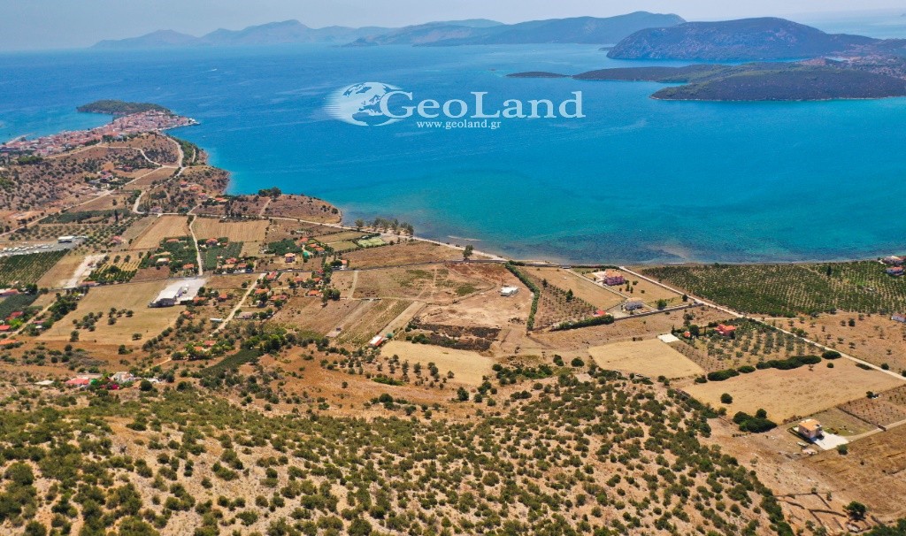 Αγροτεμάχια 25.704 τ.μ. για πώληση, Αργολίδα, Ερμιόνη