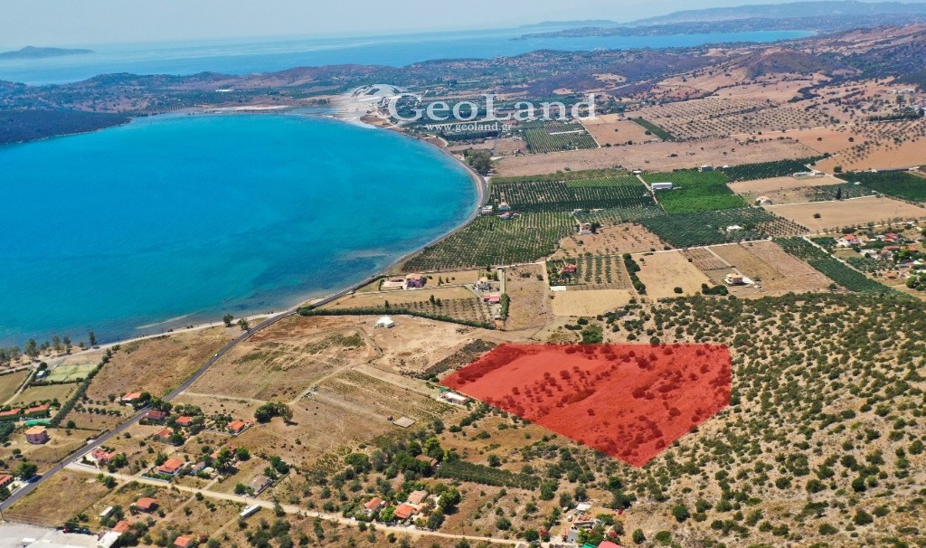 Αγροτεμάχια 25.704 τ.μ. προς πώληση, Κέντρο Ερμιόνης