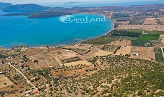 Αγροτεμάχια 25.704 τ.μ. για πώληση, Αργολίδα, Ερμιόνη-thumb-13
