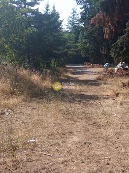 Οικόπεδο 10.000τ.μ. για πώληση-Δροσιά