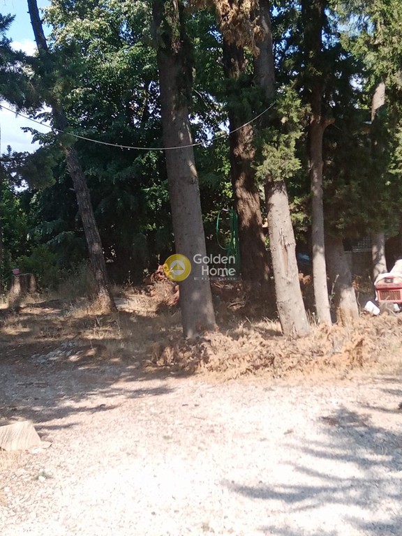 Οικόπεδο 10.000 τ.μ. προς πώληση, Αθήνα - Βόρεια Προάστια, Δροσιά