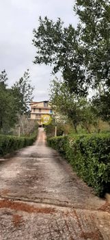 Μονοκατοικία 605τ.μ. για πώληση-Κ. καπανδριτίου » Καπανδρίτι